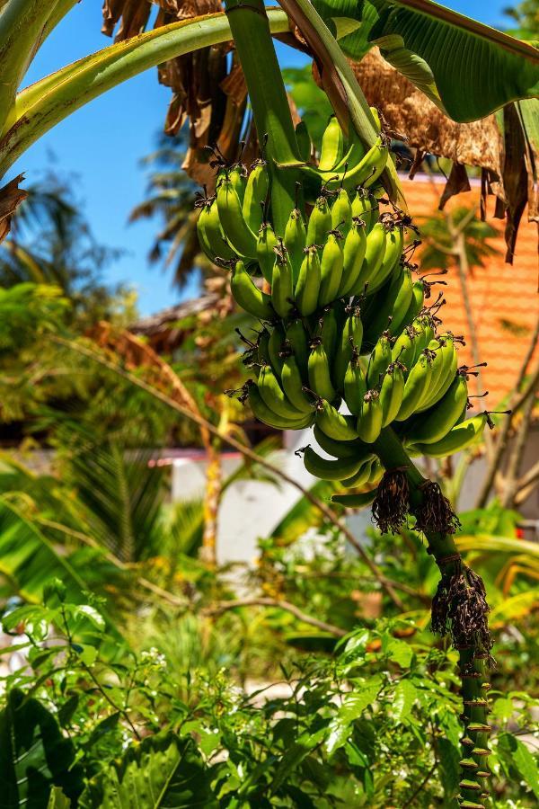 פאג'ה Heart Of Zanzibar Bungalows מראה חיצוני תמונה